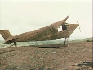 a bamboo plane